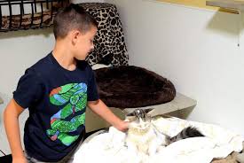 Program encourages kids to read to cats at animal shelter