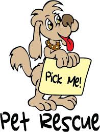 Gainesville pet rescue inc is located in gainesville city of florida state. Second Chance Rescue Rehoming Inc Home Facebook