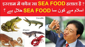 Or, in direct contrast, to an evil and thus sinful action that is forbidden to be done. Halal And Haram Sea Foods In Islam List Of Halal Seafood Including Crab Lobster Crocodile Octopus Youtube