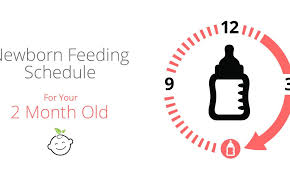 My pediatrician refuses to say even roughly how many ounces he should have (she just says give him whatever he wants and if it's too much he'll spit it up), so i'd be grateful to hear how much breast milk. 2 Month Old Feeding Schedule Baby Earth