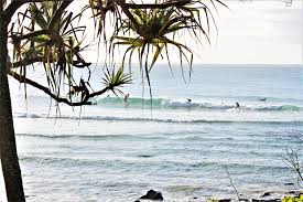 7 Things To Do On Australia S Sunshine Coast Simply Wander Sunshine Coast Most Beautiful Beaches Cool Places To Visit