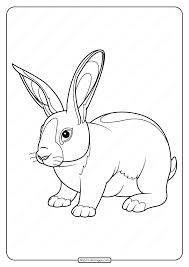 Printable Baby Rabbit Pdf Coloring Page Toddler Coloring Book Rabbit Colors Printable Coloring Book