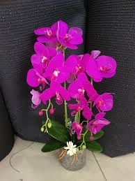 Gubahan orkid phalaenopsis, mudah & jimat. Gubahan Orkid Utk 2 Tangkai Je Dgn Gubahan Bunga Murah Facebook