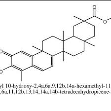 Image result for Salacia leptoclada