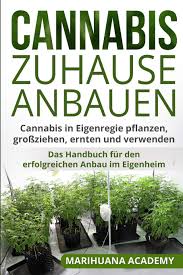 Durch das natürliche kreuzen und verbreiten aber auch durch das kultivieren und. Cannabis Zuhause Anbauen Cannabis In Eigenregie Pflanzen Grossziehen Ernten Und Verwenden Das Handbuch Fur Den Erfolgreichen Anbau Im Eigenheim Amazon De Academy Marihuana Bucher