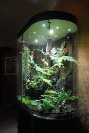 Modern Unique Orchid Terrarium Ideas Glassterrariumideas Howtomakeaterrarium Terrariumreptile Reptileterrarium Hang Vivarium Reptile Terrarium Terrarium