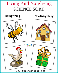 living vs nonliving activities for kindergarten belarabyapps
