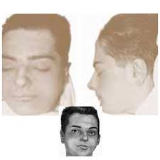 What is the first name of the soldier named Fawcett in the photograph  collection?