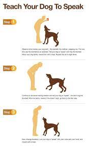 They have been my one and only boarding/daycare facility for my dog. A Few Tips Every Dog Trainer Should Know Do You Want To Have A Dog That Can Fetch Stay Roll Over Plus Dog Training Near Me Dog Training Obedience Dog Care