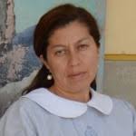 Profesores Jefes Básica