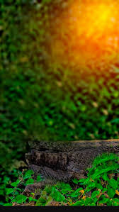 We hope you enjoy our growing collection of hd images to use as a background or home screen for. How To Picsart Background
