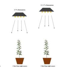 All growlights available in black or white. Pdf Light Emitting Diodes Whether An Efficient Source Of Light For Indoor Plants