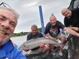 46 pound sturgeon from Trent