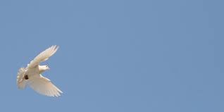 Works Titles Of The Holy Spirit Basil Crossroads Initiative