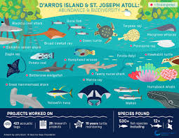 Joseph bay on our 24' carolina skiff bay boat. Abundance Biodiversity Sosf D Arros Research Centre