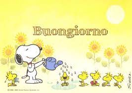 In quel periodo quando una coppia arrivava ai 25 anni di unione, le famiglie e i conoscenti. Buongiorno Mensagens De Bom Dia Mensagens Mensagem De Bom