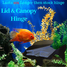Aquarium Fish Tank Replacement Hinges Aquarium Fish Tank Fish Tank Aquarium Fish