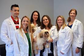 If your pet has an emergency medical i ssue, don't delay care. Animal Emergency Hospital And Urgent Care Home Facebook