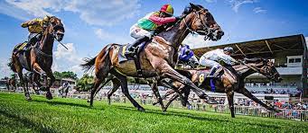 No bounces during specified time frame. Galopprennen In Corona Zeiten Blick Auf Den Renntag Hoppegarten Turus Net Magazin