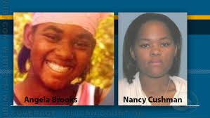 Nancy Cushman's Instagram, Twitter & Facebook