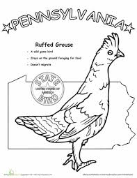 Pennsylvania State Bird Worksheet Education Com State Birds Pennsylvania History History Worksheets