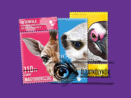 If you think your dog ate onions in large quantities, or if your dog seems like he isn't feeling well, dr. Couscous Designs Themes Templates And Downloadable Graphic Elements On Dribbble