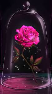 Une Rose Eternelle Pour Un Amour Eternel Fond D Ecran Telephone Fond D Ecran Colore Belles Images De Fleurs