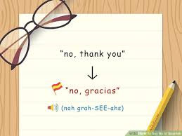 Diego, how do i say 'i'm sorry' in spanish. Thank You In Spanish Translation