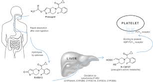 Image result for Prasugrel