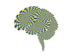 Illusion Puts Rotating Snakes In Your Brain Illusions Brain Illusions Types Of Illusion