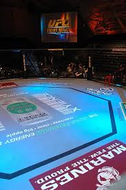 Участники, кард и результаты ufc 263. Dwkjbwbqin Tom