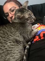 Fundraiser for Chris Orr by Deidra Dobucki : Save Anubis: Emergency Vet  Care Needed