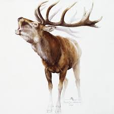 To purchase or review the product details, look it up by the sku number at plushinarush.com. Belling Stag Watercolor Attila Meszlenyi Paintings Prints Animals Birds Fish Deer Artpal
