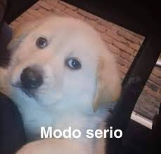 Plantillas Para Memes - Modo serio. | Facebook