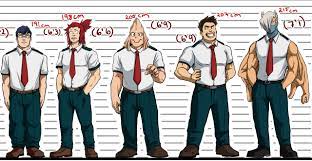 ↑ my hero academia manga: Bnha 1 A Height Novocom Top