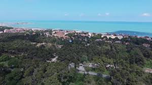 Viale della pineta, 65129 pescara pe, italy. Pineta Dannunziana Riserva Naturale Pescara