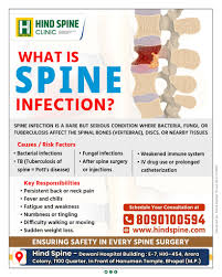 Image result for Spinal Infection