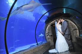 Pin On Vegas Wedding Photo Ideas Locations