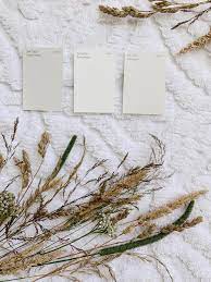 Shop our wide selection of wood stain & sealers. Farmhouse Sherwin Williams White Paint Colors Sarah Jane Christy