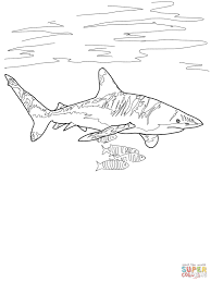 Oceanic Whitetip Shark Coloring Pages For Kids Shark Coloring Pages Coloring Pages