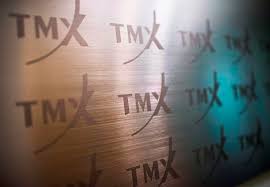 The analyst also placed a c$39 on shares listed on the toronto stock exchange. Toronto Stock Market Opens Higher Canopy Growth Shares Up After Q1 Report