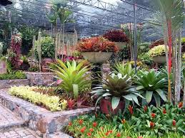 Pin On Landscaping