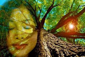 Be the Change Weekly Community Update November 5, 2021