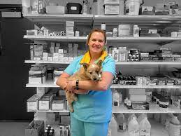 Geef je cactus vooral niet teveel water. Please Welcome Dr Amanda Bluffs Veterinary Clinic Facebook