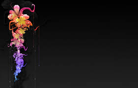 You can download the wallpaper as well as use it for your desktop pc. Flower Black Background Images Hd Largest Wallpaper Portal