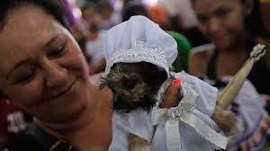 Dog owners bring their pets to be healed by St Lazarus at this festival in  Nicaragua