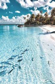 50 New Ideas For Travel Wallpaper Wanderlust Ocean Ocean Wallpaper Beautiful Nature Wallpaper Nature Photography