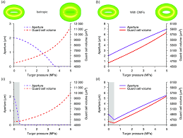 Maybe you would like to learn more about one of these? Circumferentially Oriented Cellulose Fibres Are Critical For Proper Download Scientific Diagram