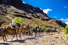 Free shipping for many products! 30 Fun Things To Do In Gran Canaria Tourscanner