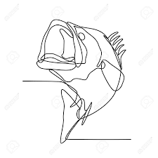 I dont know if it's the tail wobble or the squid scent in these baits but something about them drives bass mad! Continuous Line Illustration Of Largemouth Bass Freshwater Gamefish That Is A Species Of Black Bass Native To North America Jumping Up Done In Black And White Monoline Style Royalty Free Cliparts Vectors